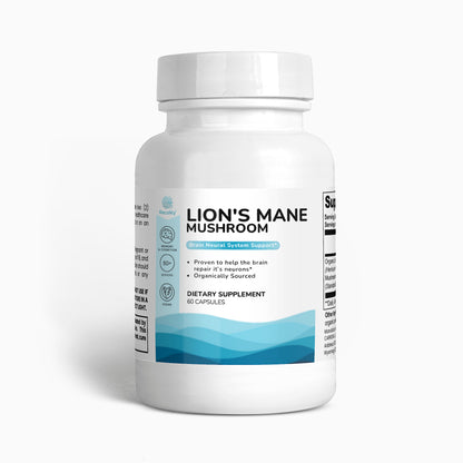 Lion's Mane Mushroom